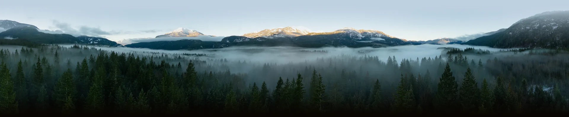 Misty mountain and evergreen forest landscape in Canada
